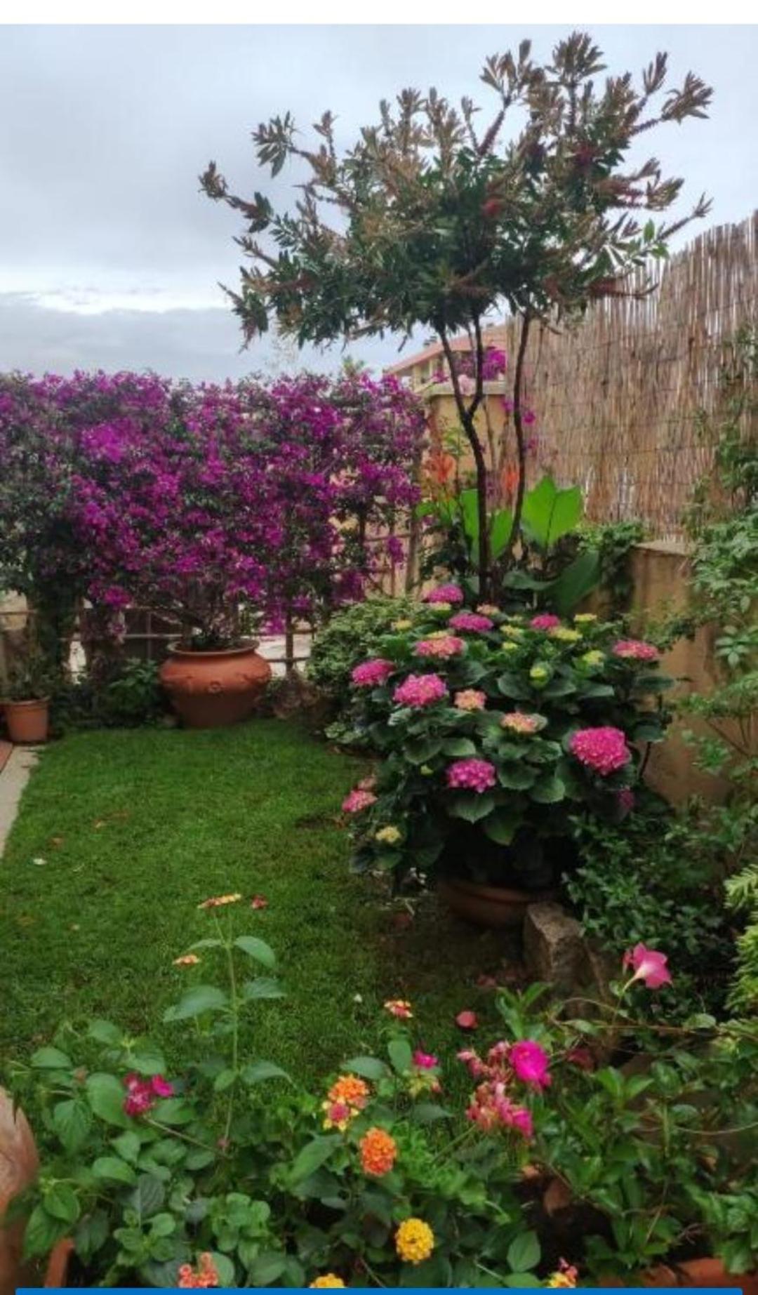 La Casa Di Luca Daire Olbia Dış mekan fotoğraf